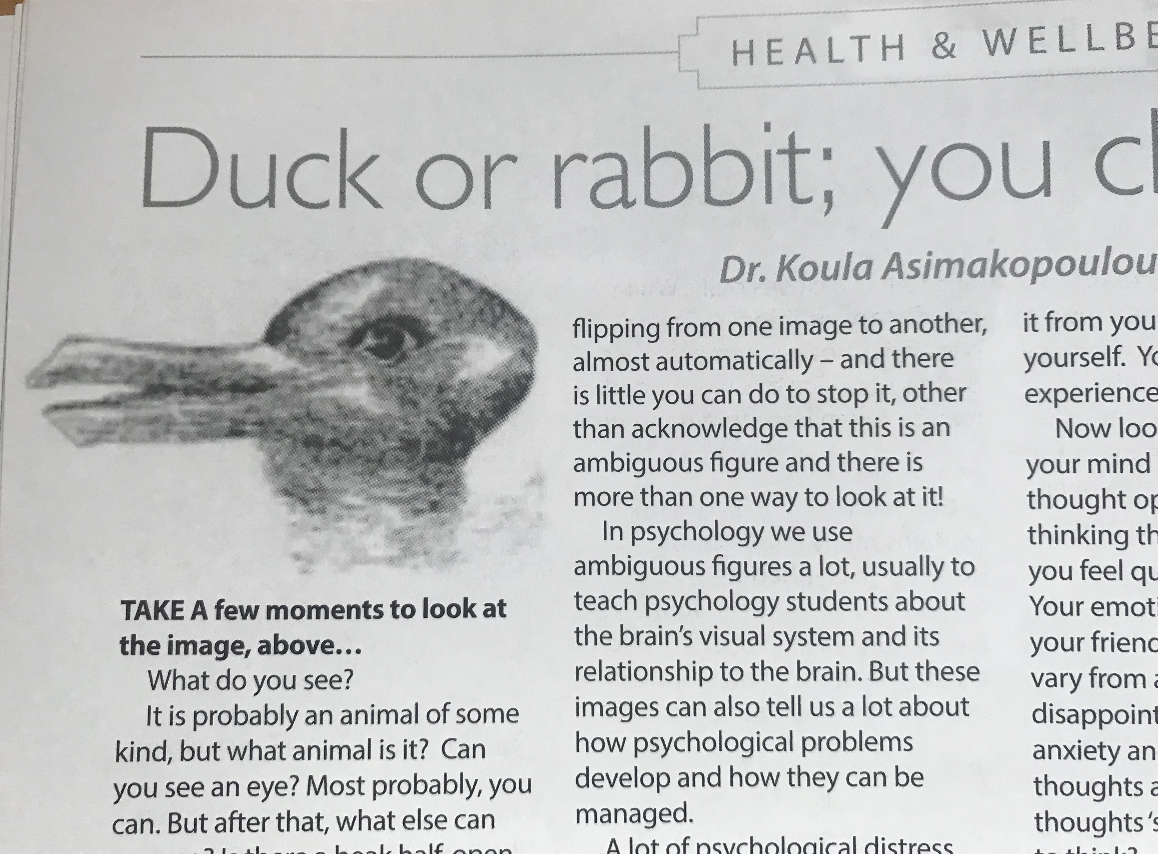 Is it a duck or is it a rabbit?